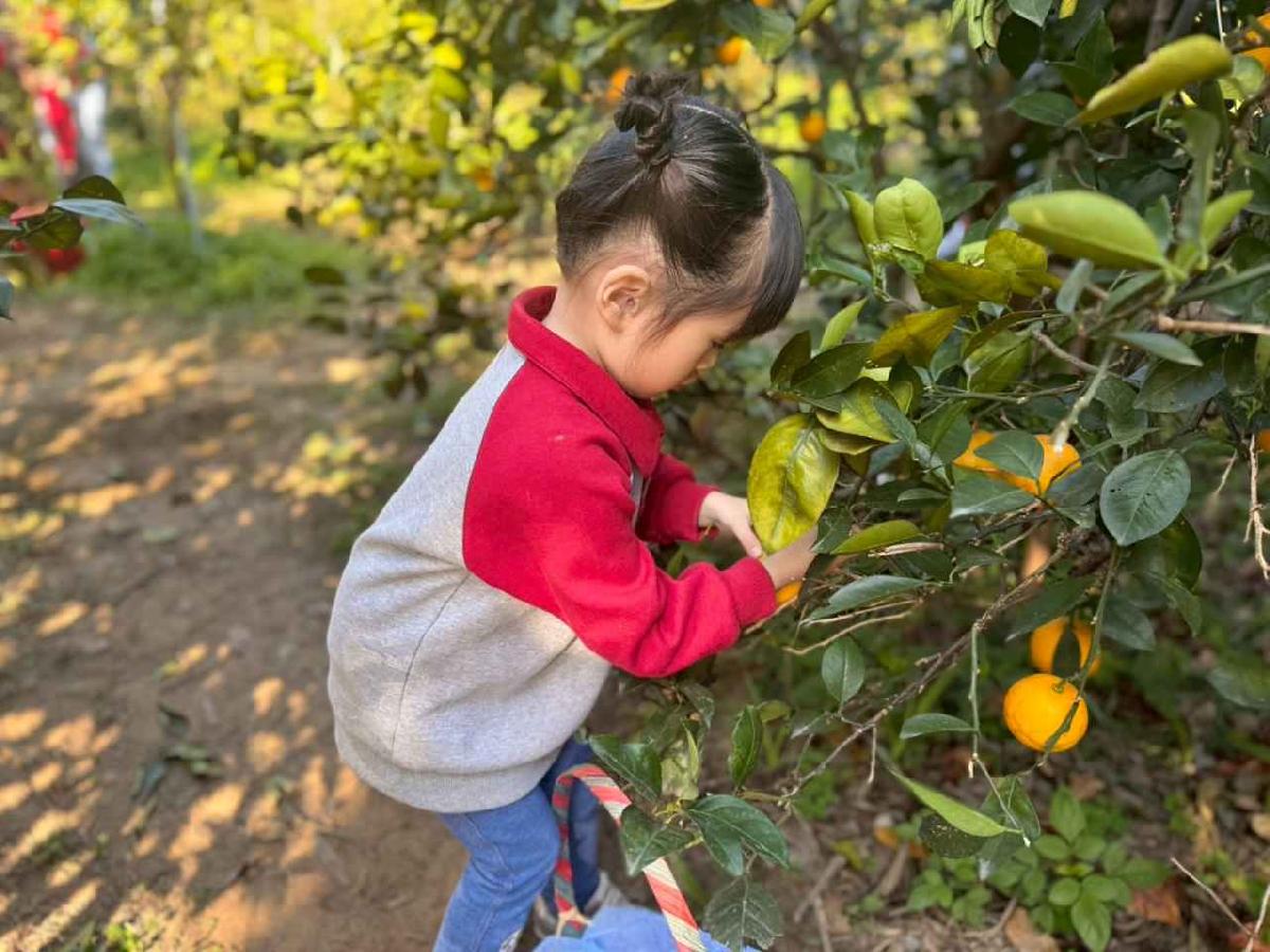 line_album_20260115柳丁大豐收01 (45)