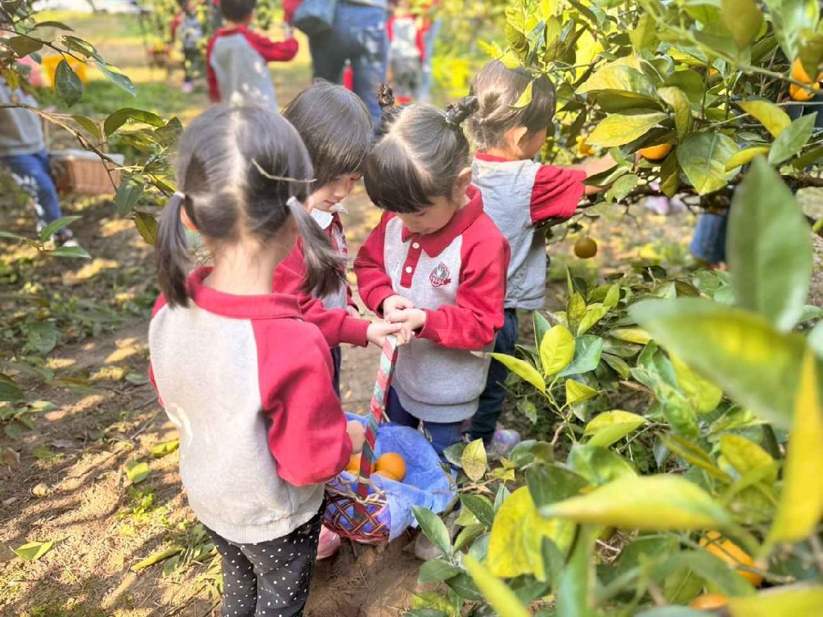 line_album_20260115柳丁大豐收01 (46)