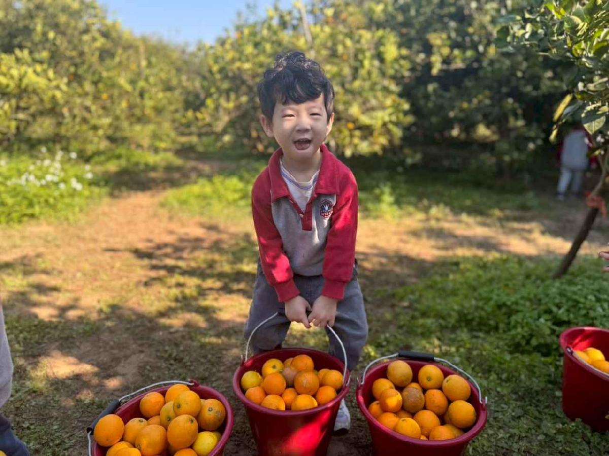 line_album_20260115柳丁大豐收01 (47)