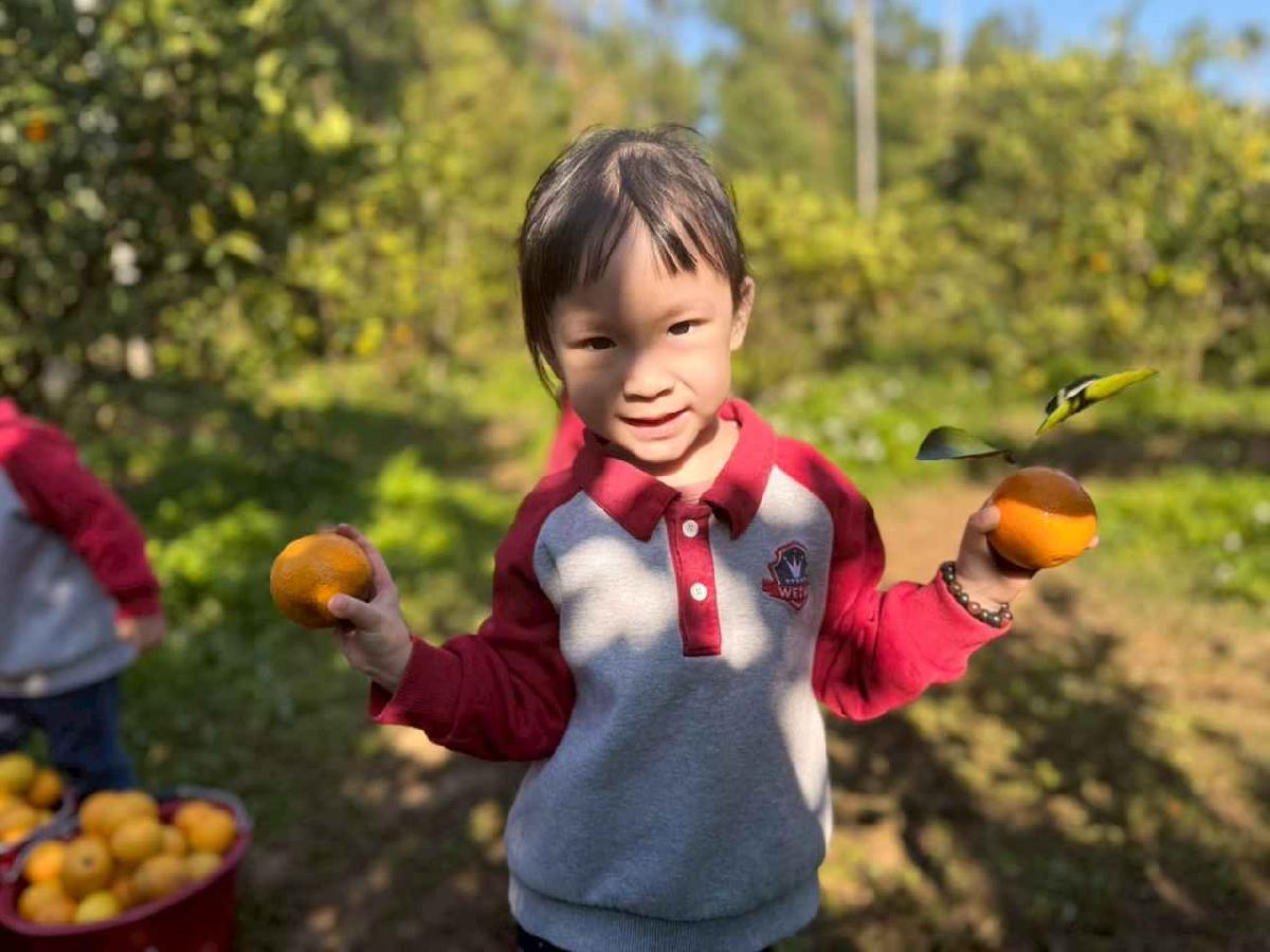 line_album_20260115柳丁大豐收01 (49)