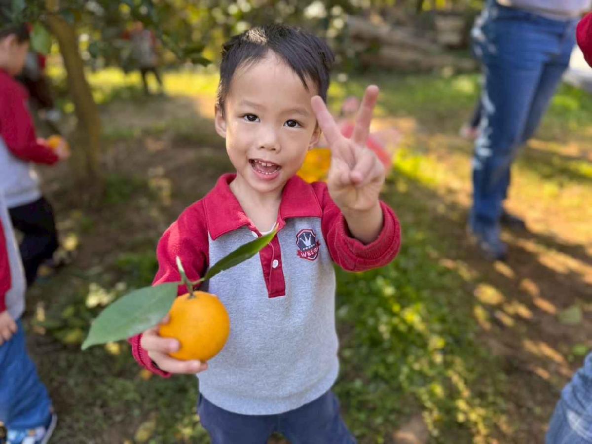 line_album_20260115柳丁大豐收01 (51)