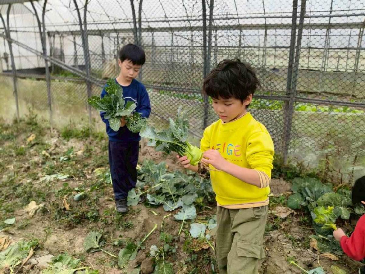 大班控窯趣_02 (17)