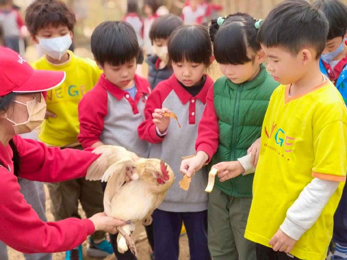 大班控窯趣_02 (46)