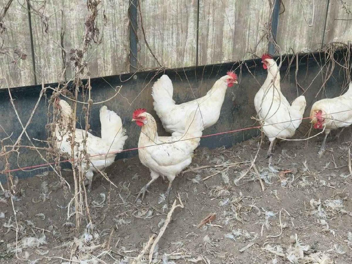 大班控窯趣_02 (69)