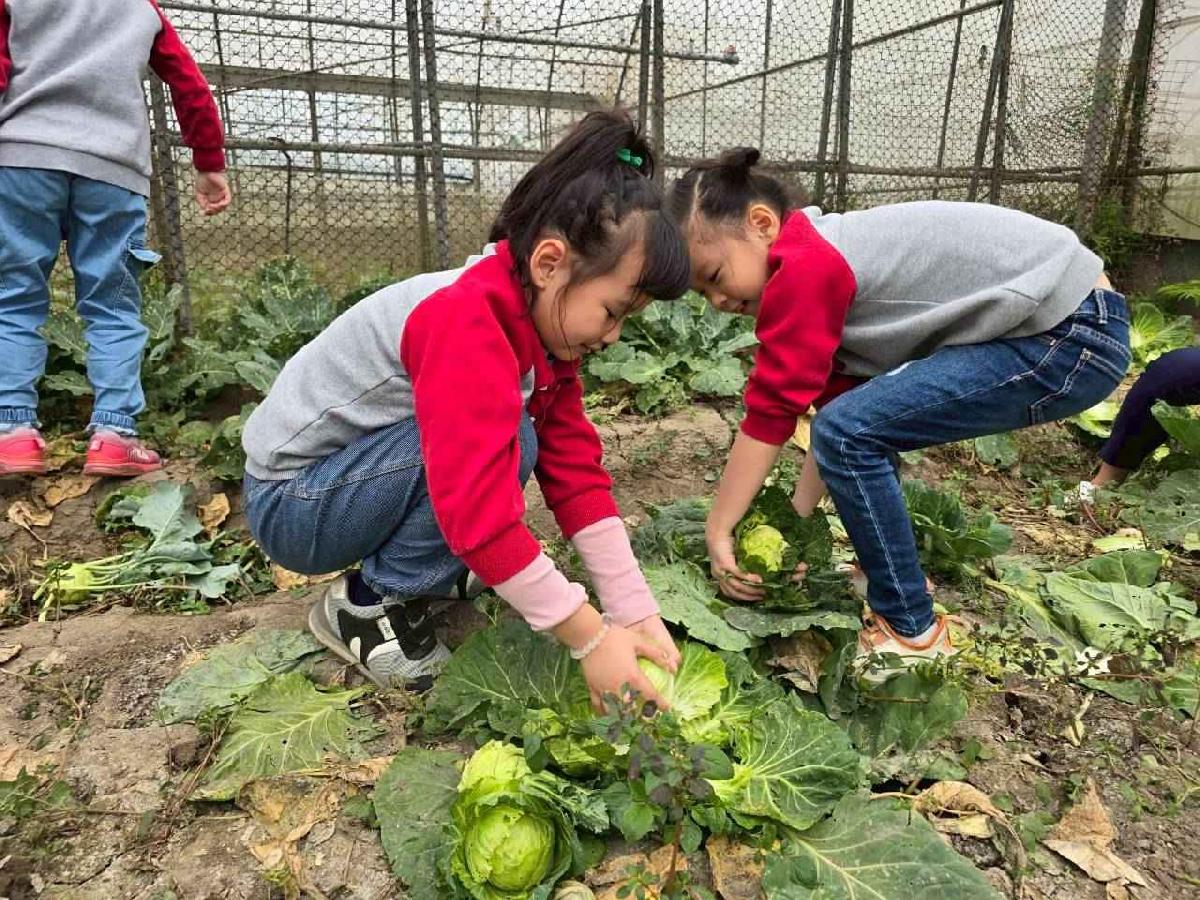 頤禾園控窯趣02_260130_41 (5)