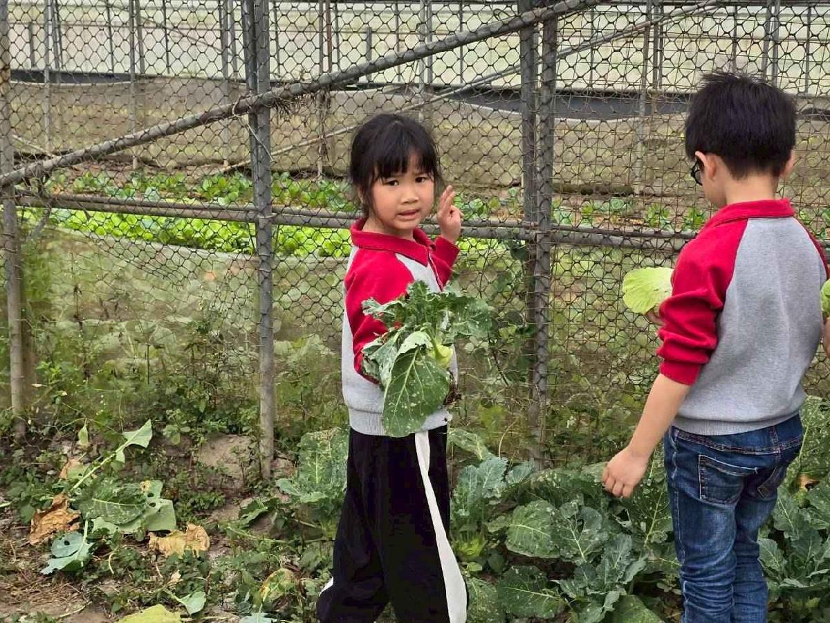 頤禾園控窯趣02_260130_41 (11)