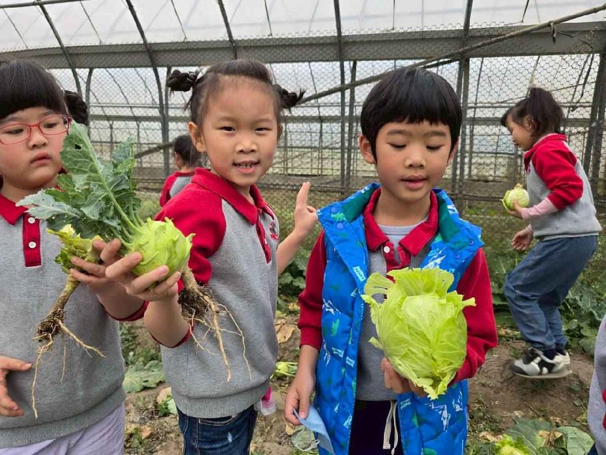 頤禾園控窯趣02_260130_41 (13)