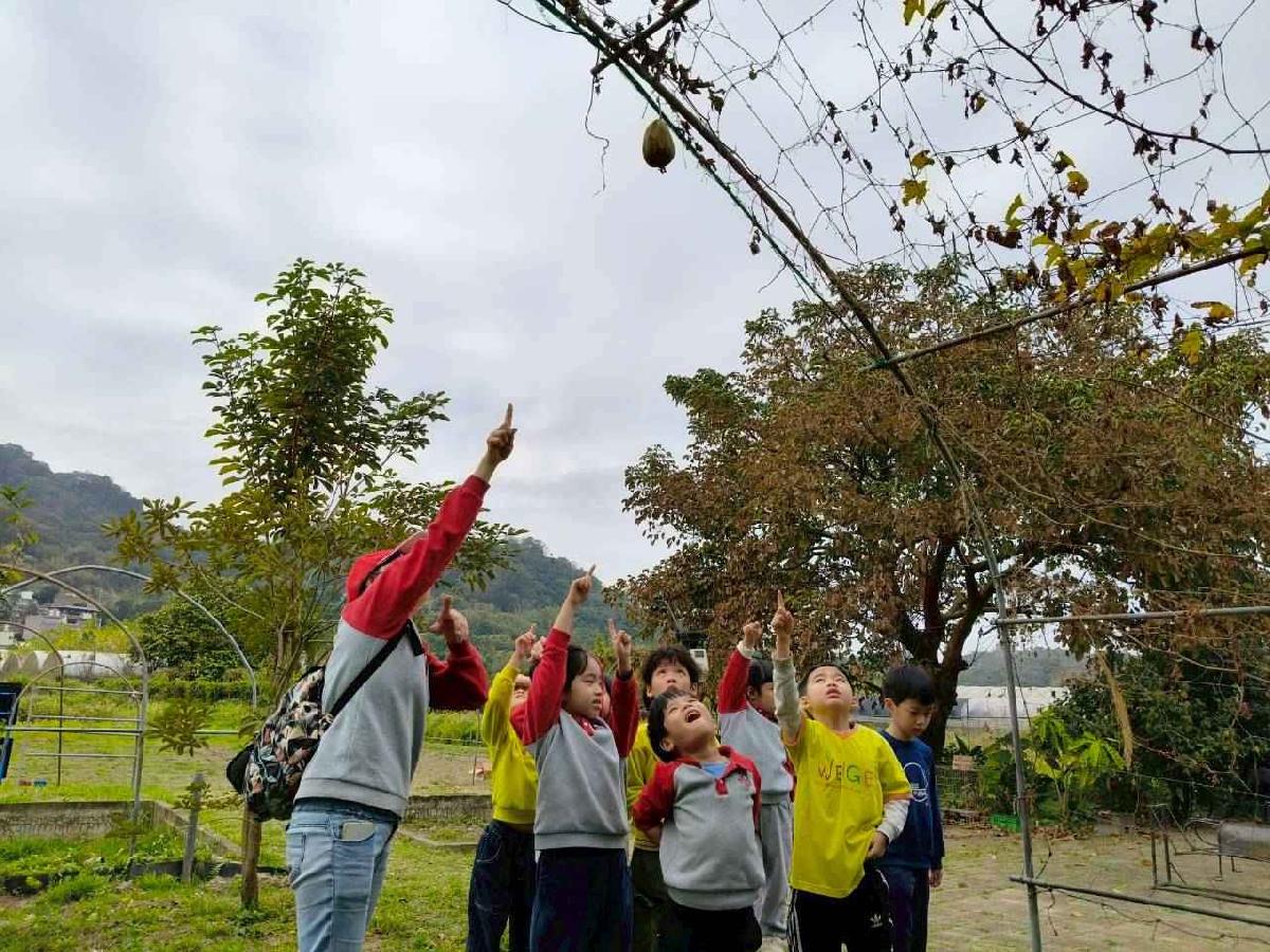 大班控窯趣01 (10)