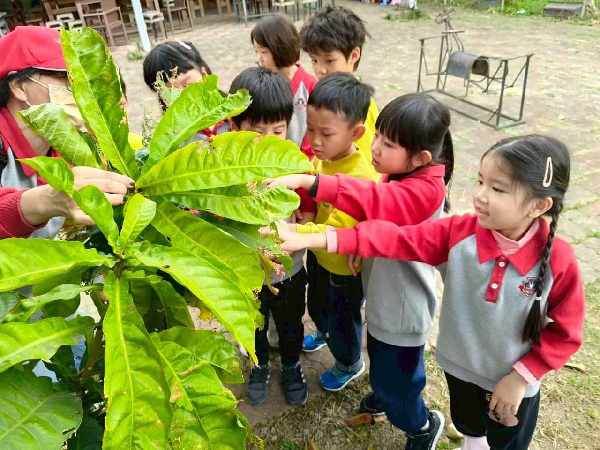 大班控窯趣01 (11)