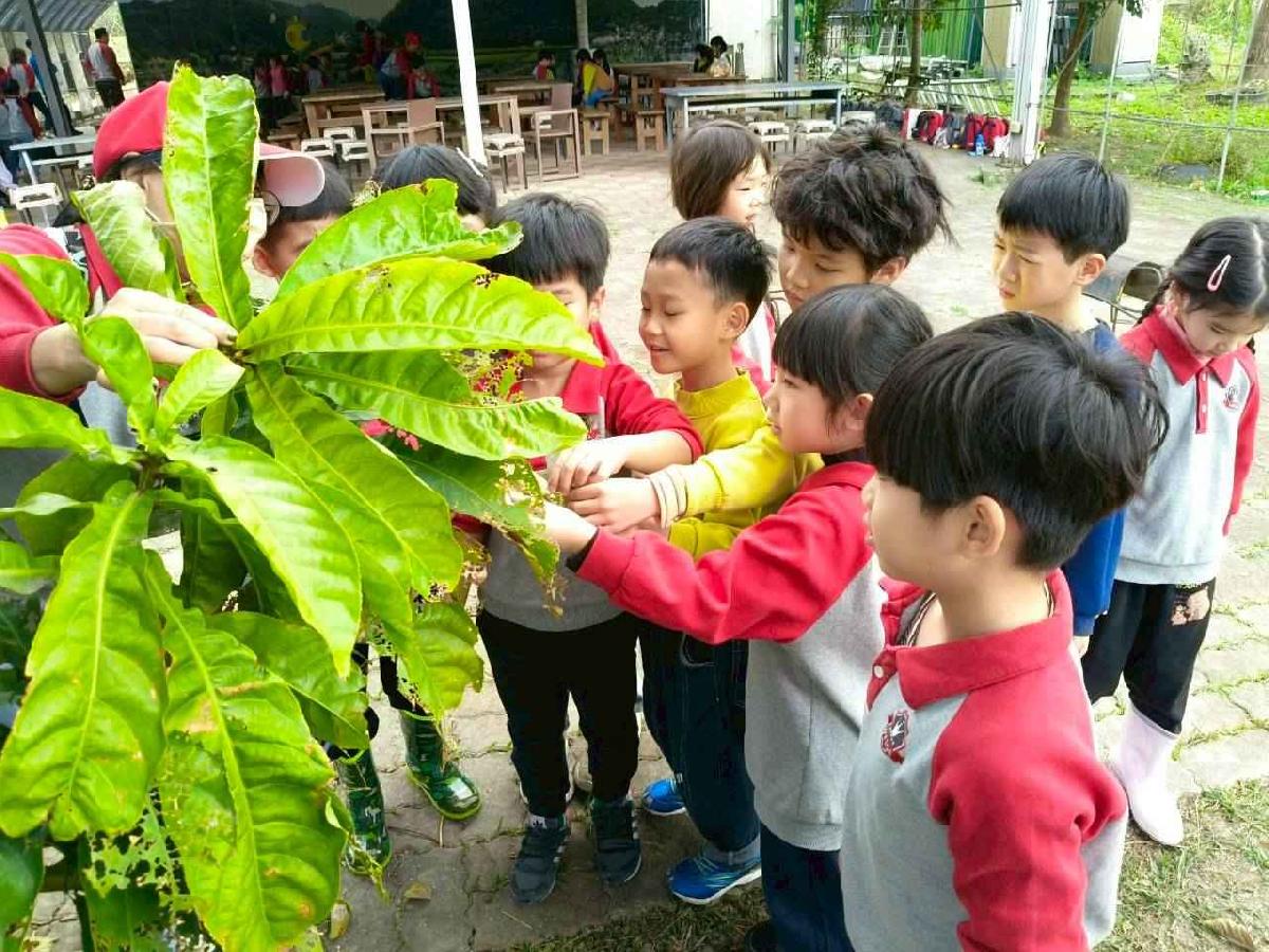 大班控窯趣01 (12)