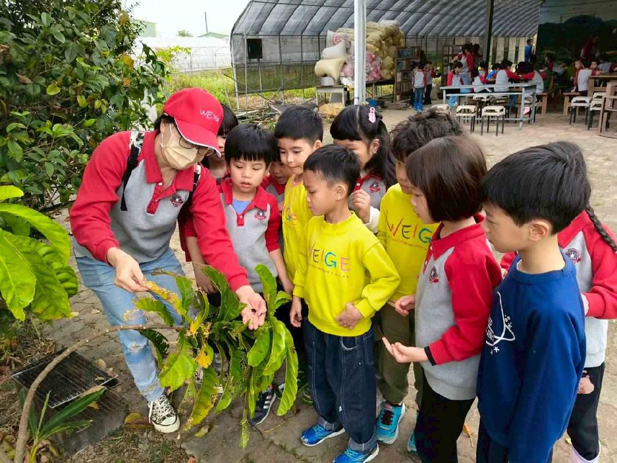 大班控窯趣01 (15)