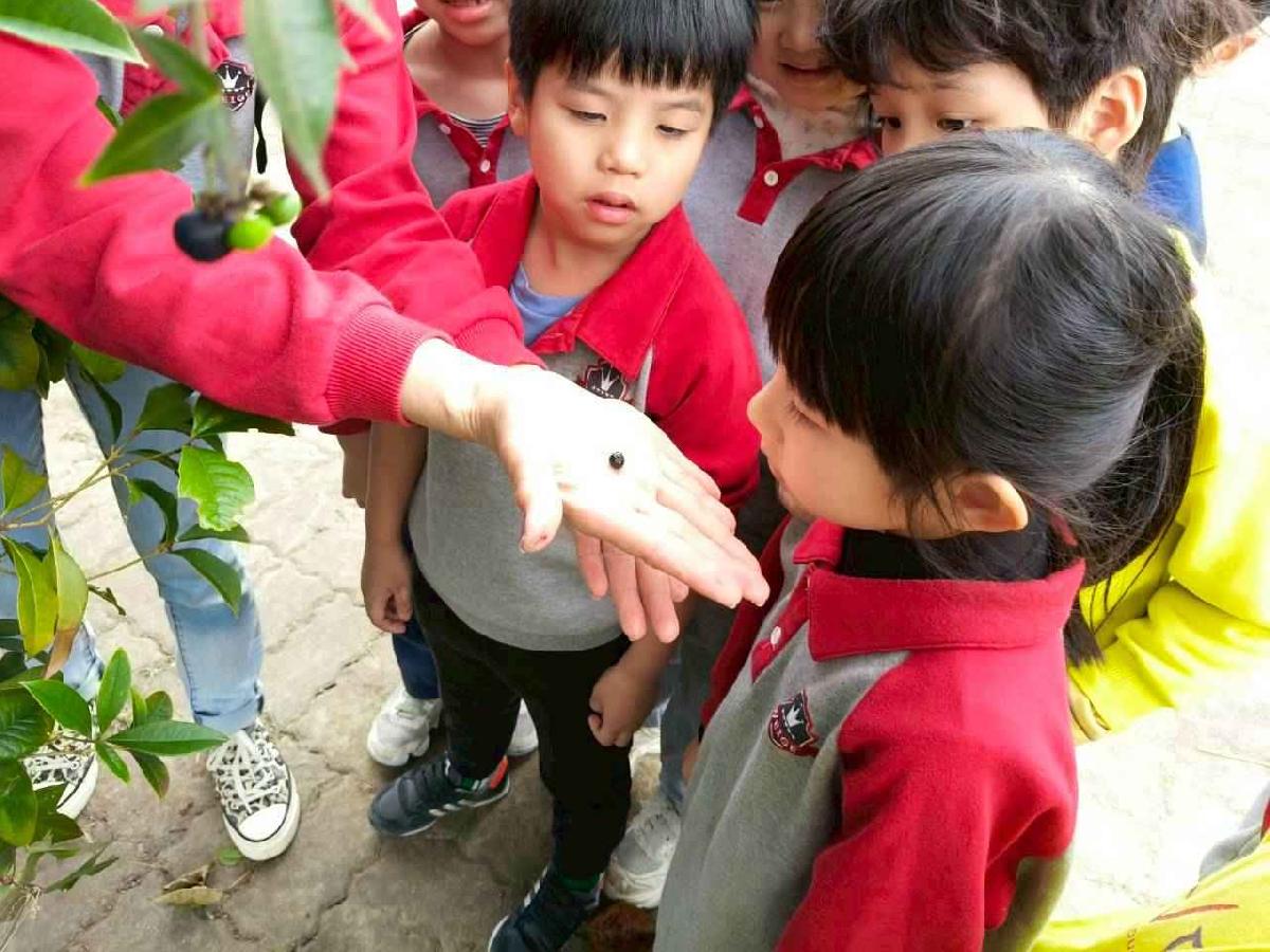 大班控窯趣01 (18)