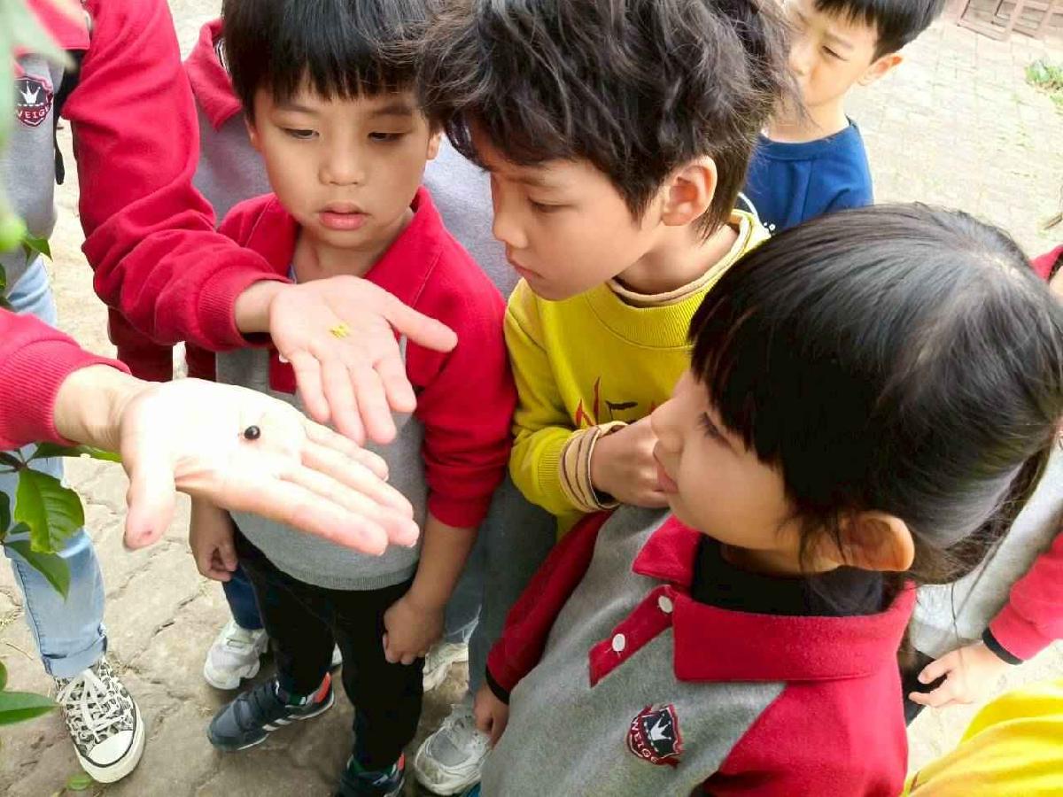 大班控窯趣01 (17)