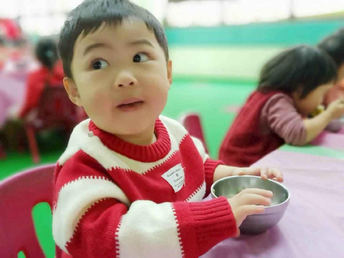 line_album_一家一菜慶豐年_260211_71