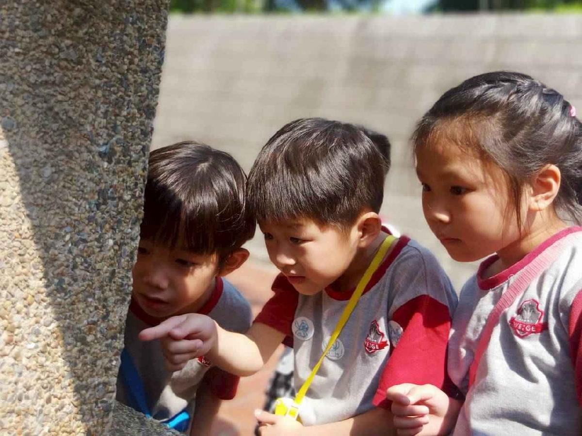 line_album_20290410-至聖先師_260410_205