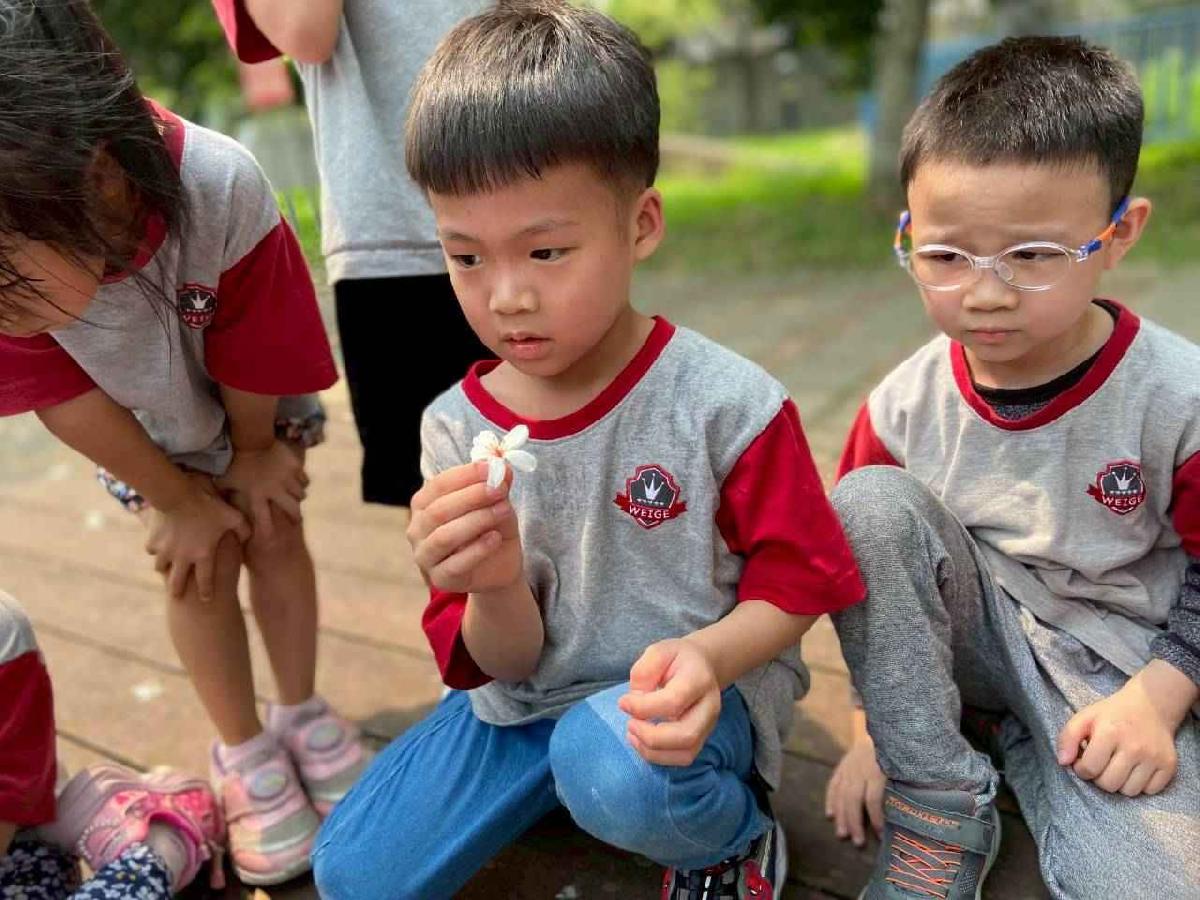 line_album_2026415_260415_3