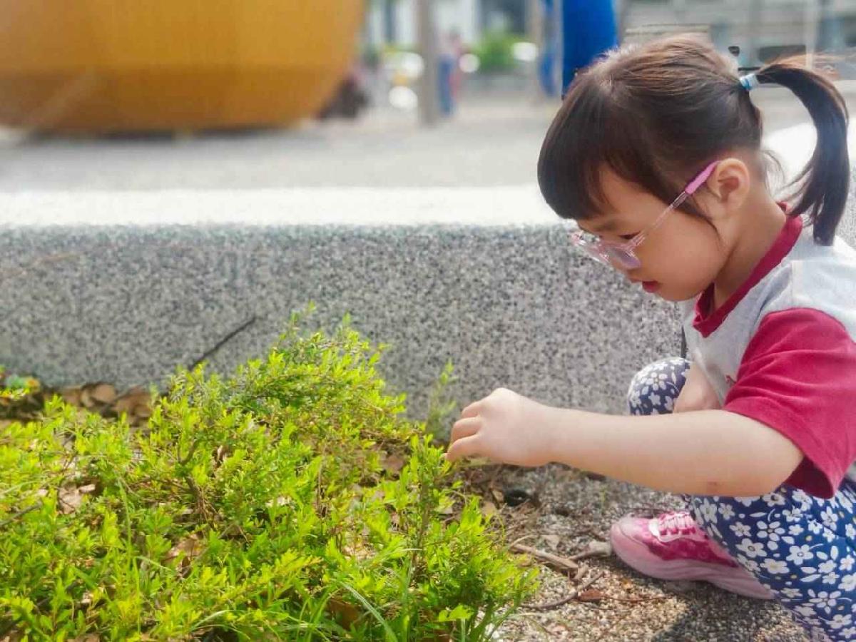 line_album_2026415_260415_29