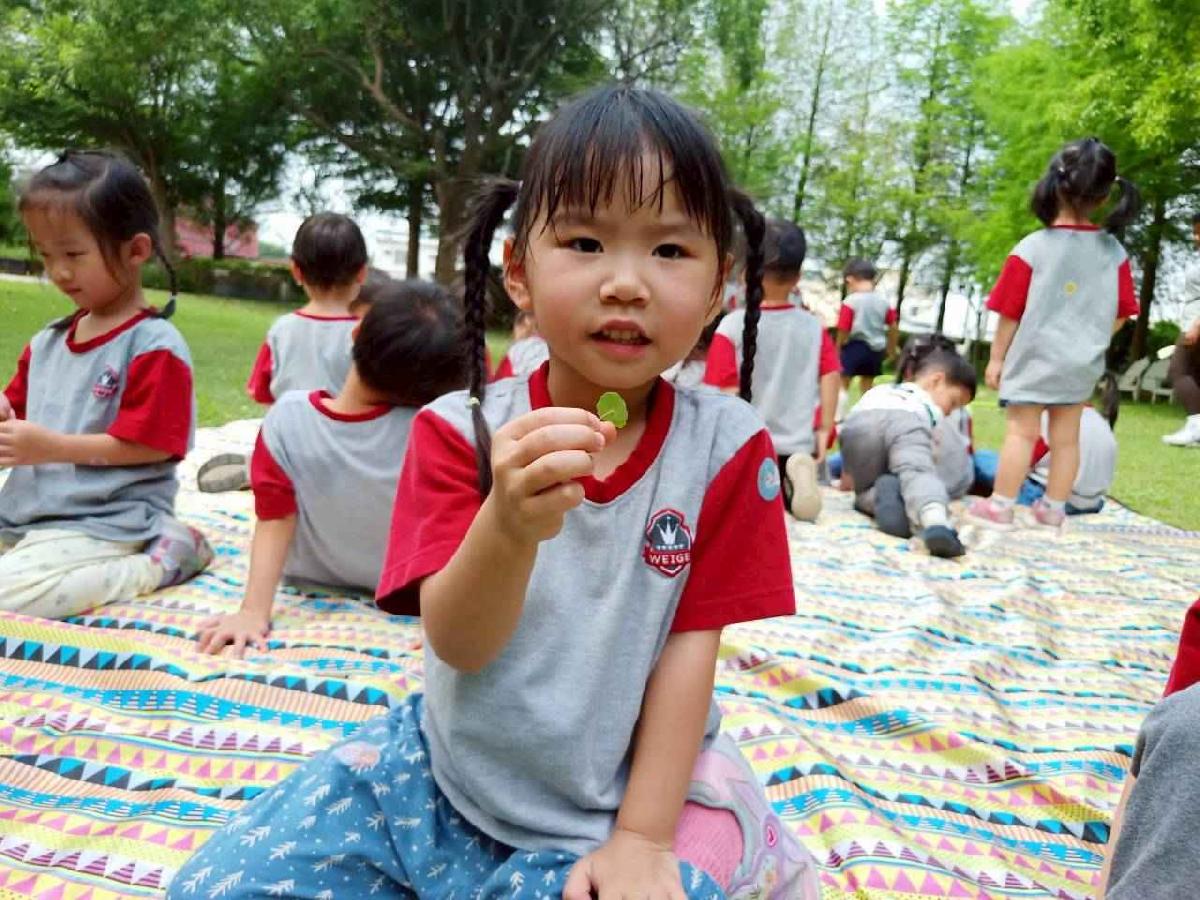 line_album_20260422形狀王國_260422_27