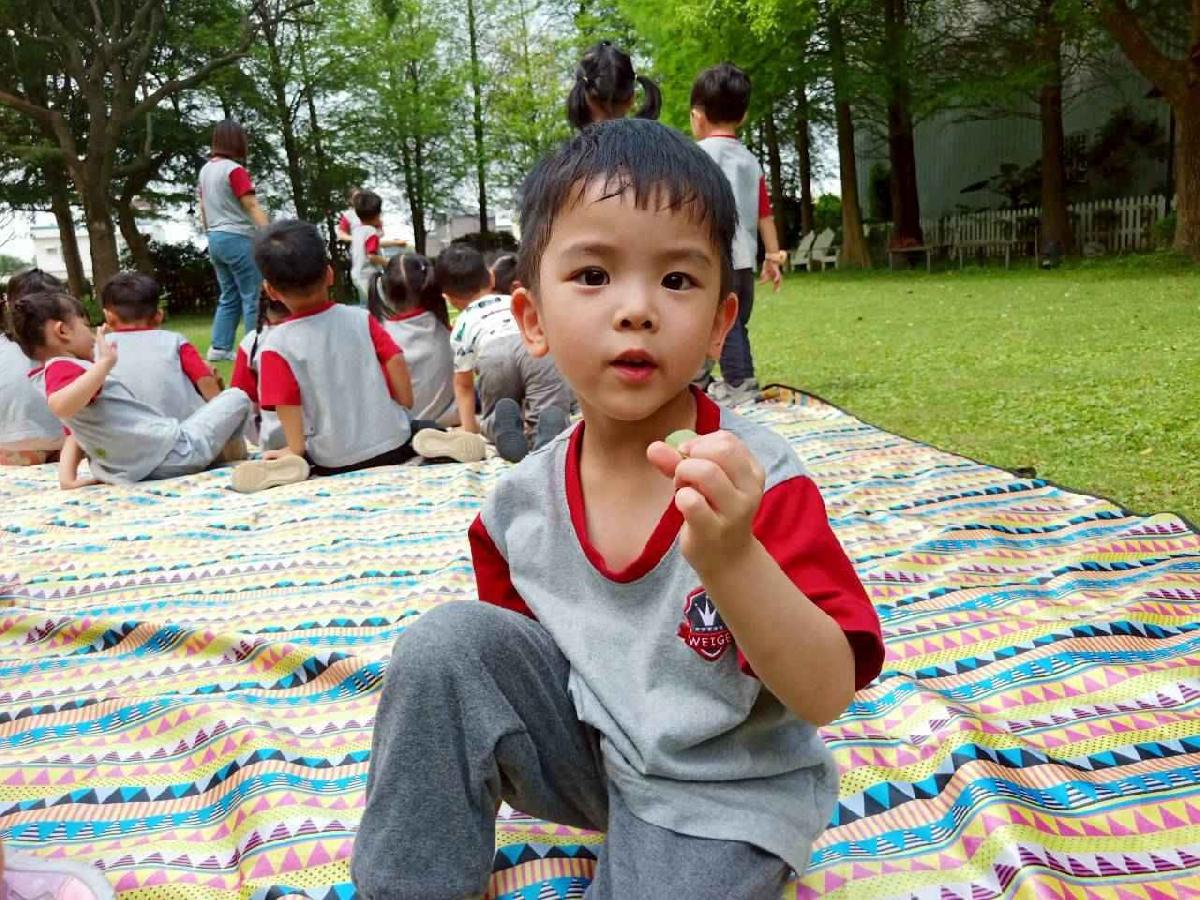 line_album_20260422形狀王國_260422_28