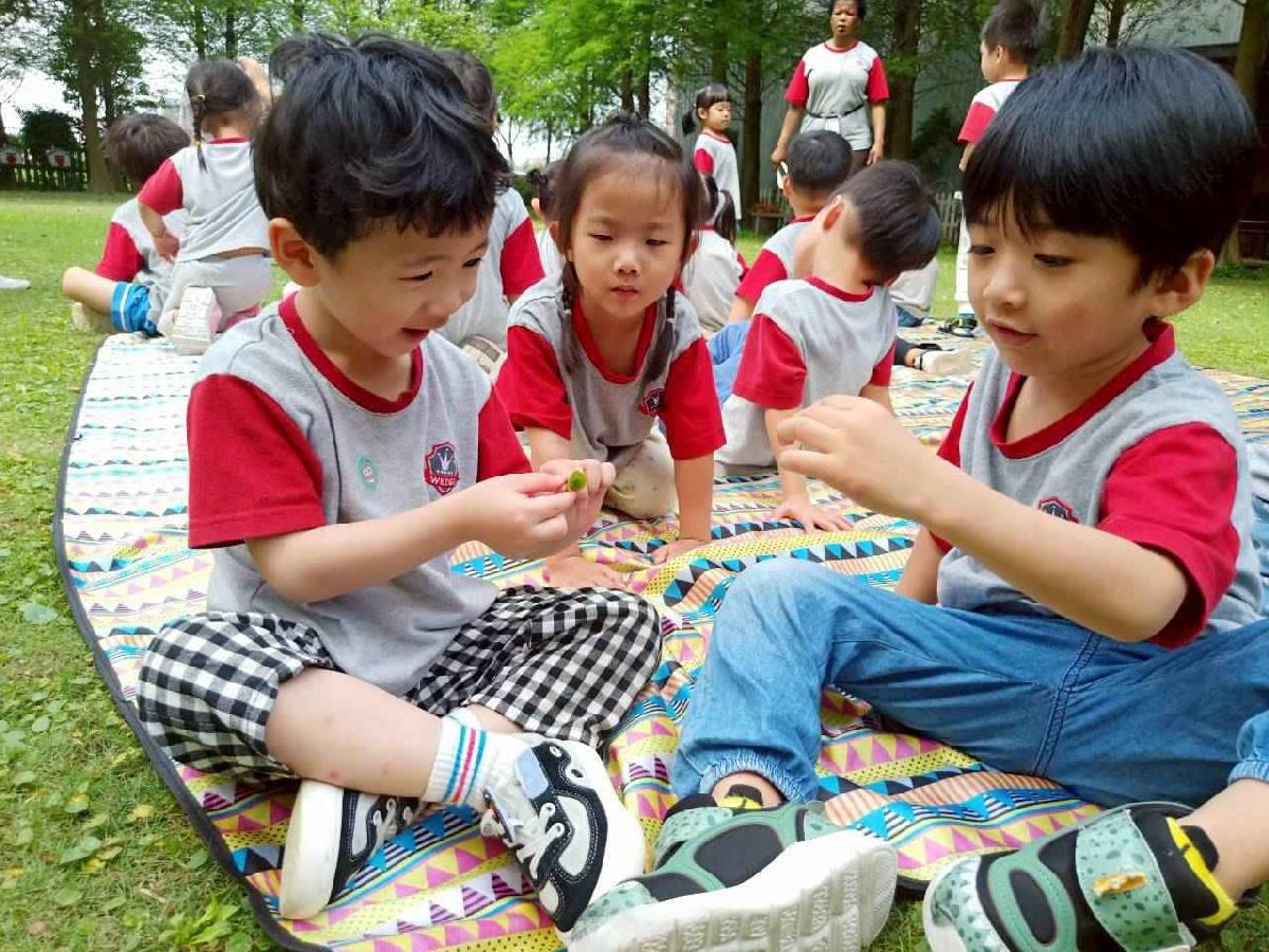 line_album_20260422形狀王國_260422_31