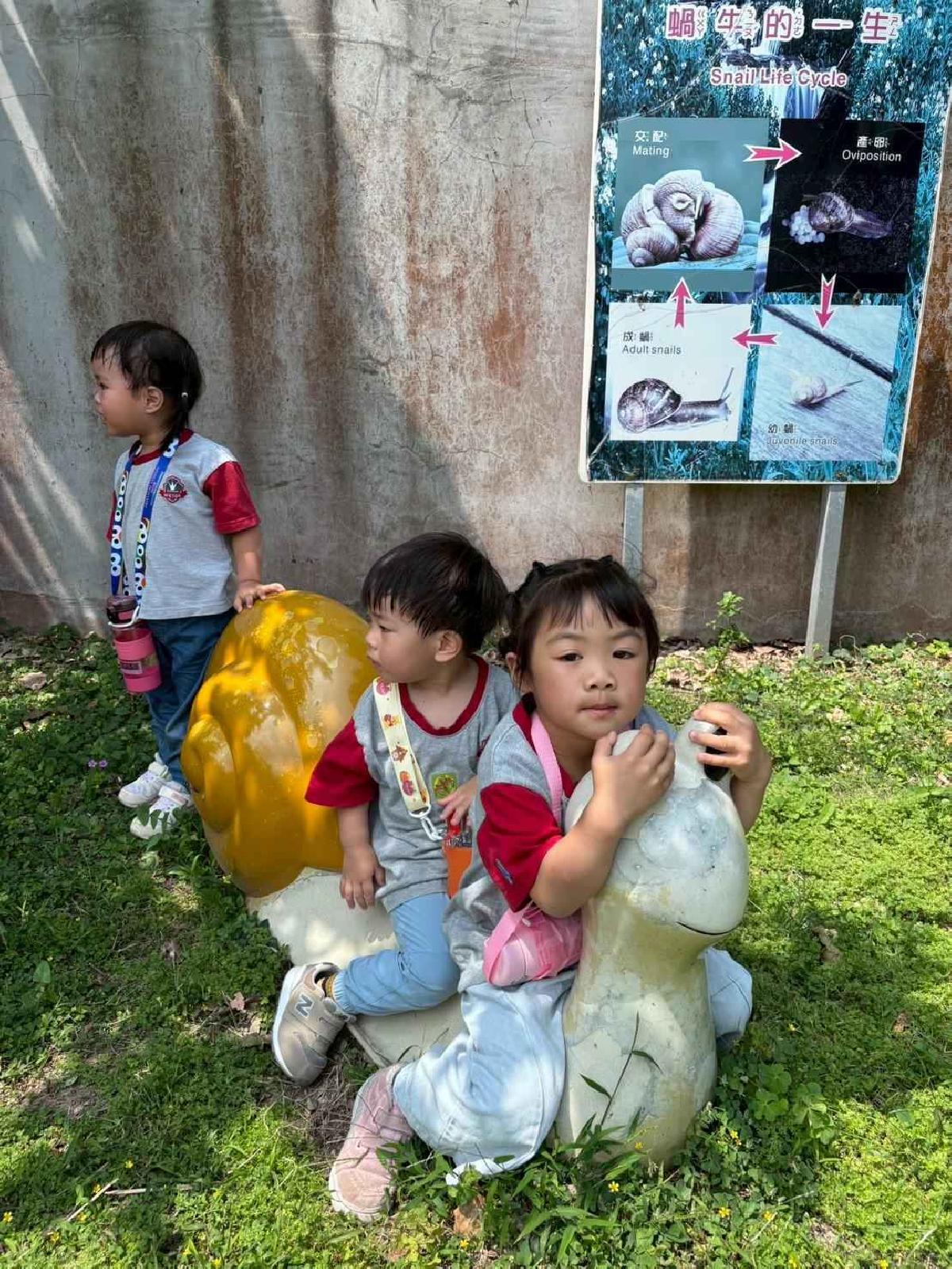 line_album_幼幼動物園_260520_3
