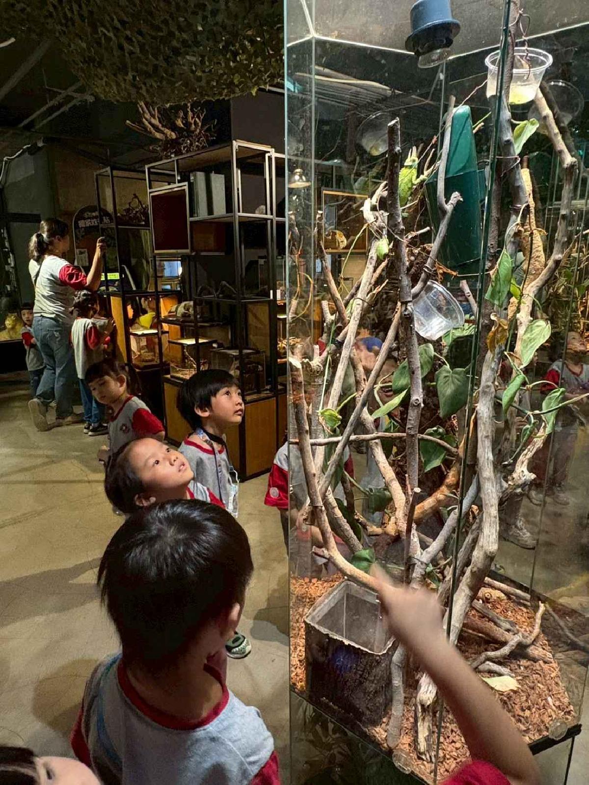 line_album_115.5.20小班新竹昆蟲館_260520_19