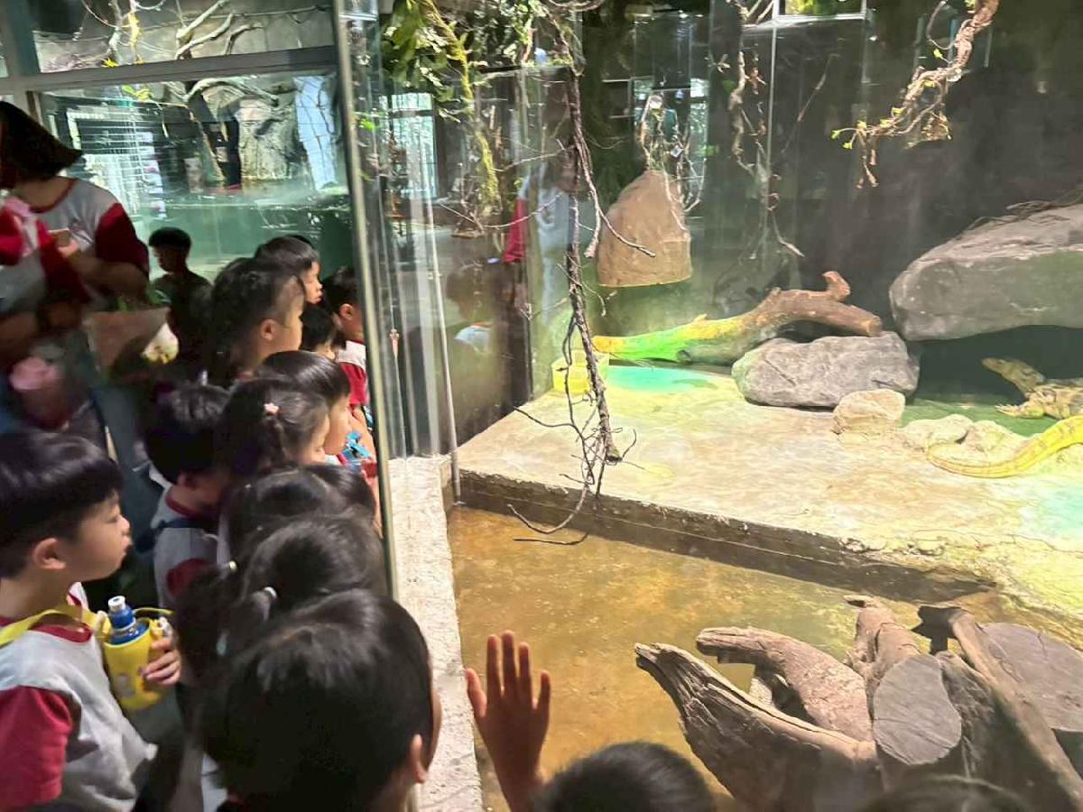 line_album_115.5.20小班新竹昆蟲館_260520_40
