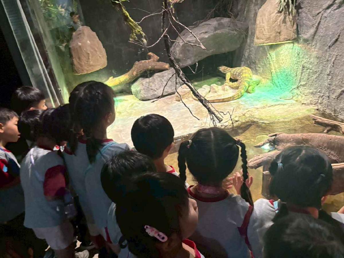 line_album_115.5.20小班新竹昆蟲館_260520_41