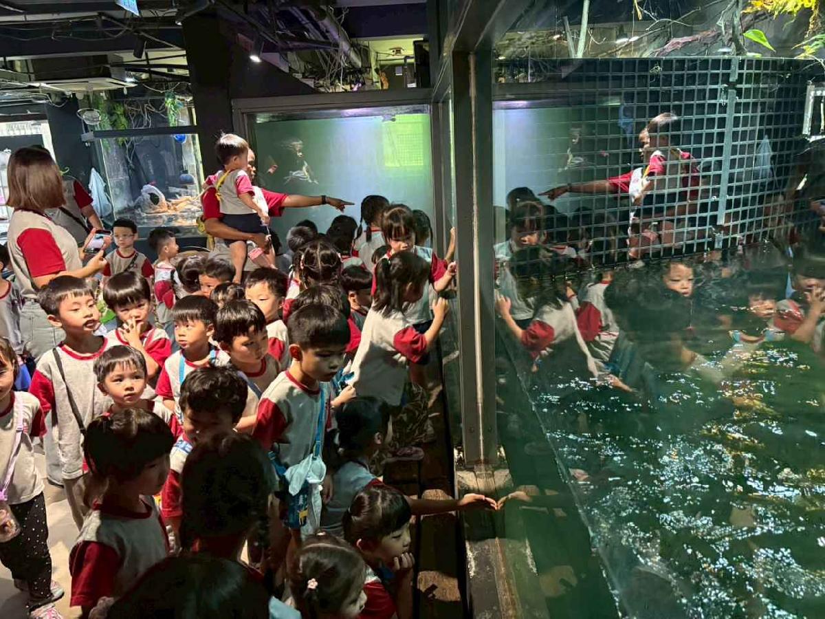 line_album_115.5.20小班新竹昆蟲館_260520_42
